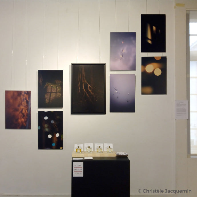 Exhibition at the Cloître Saint Louis