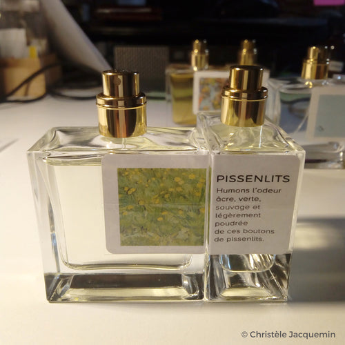 Six scents for the Van Gogh Foundation in Arles